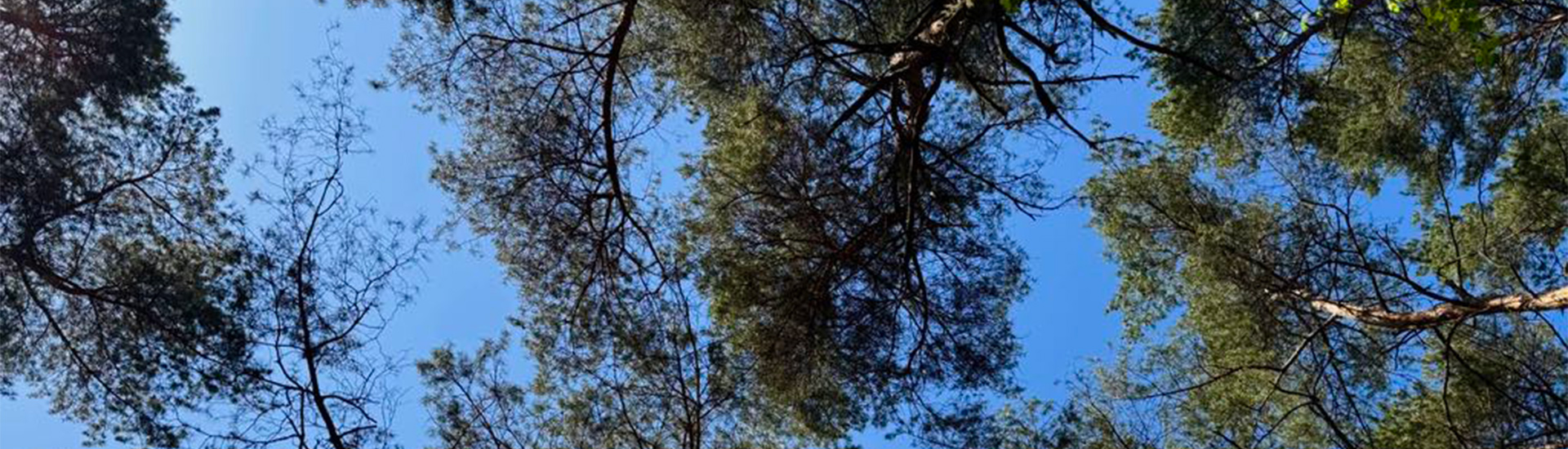 Mierzęcice 1920x550 2025 Kierunek GZM