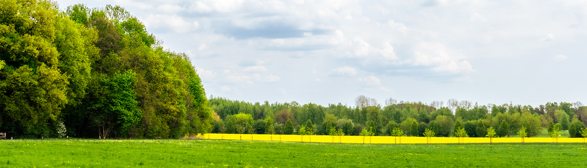 Siemianowice-3 1920x550 2025 Kierunek GZM