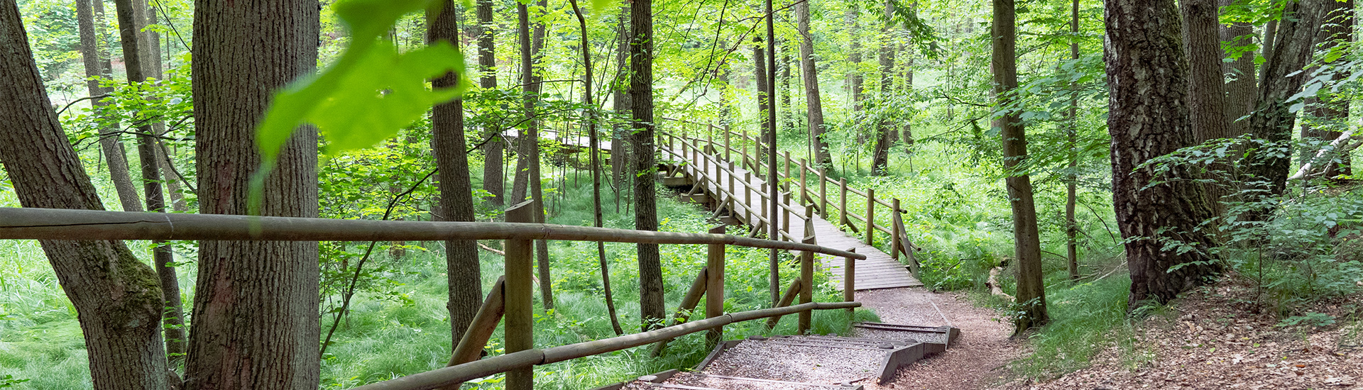 Sośnicowice_1920x500px_Kierunek-GZM-2025