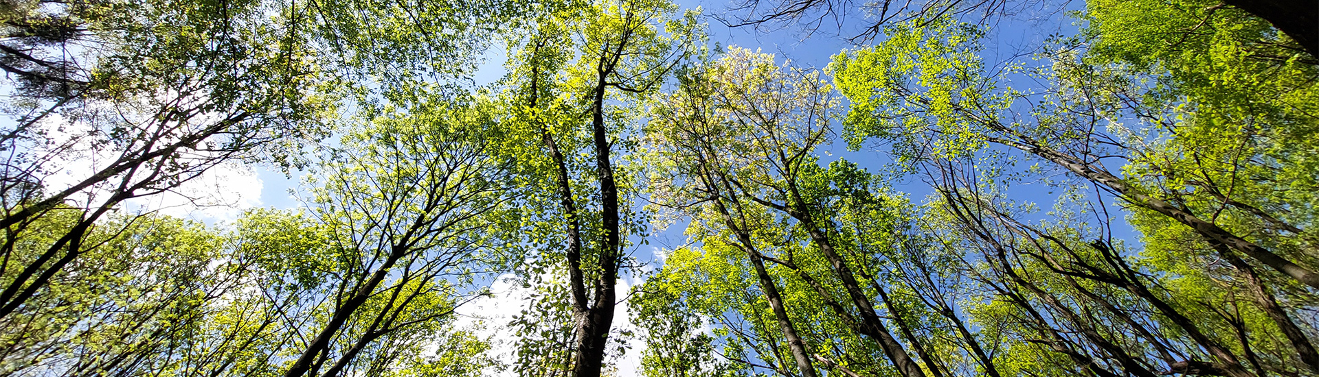 Świerklaniec 1920x550 2025 Kierunek GZM