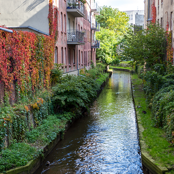 Katowice-Rawa_mobile