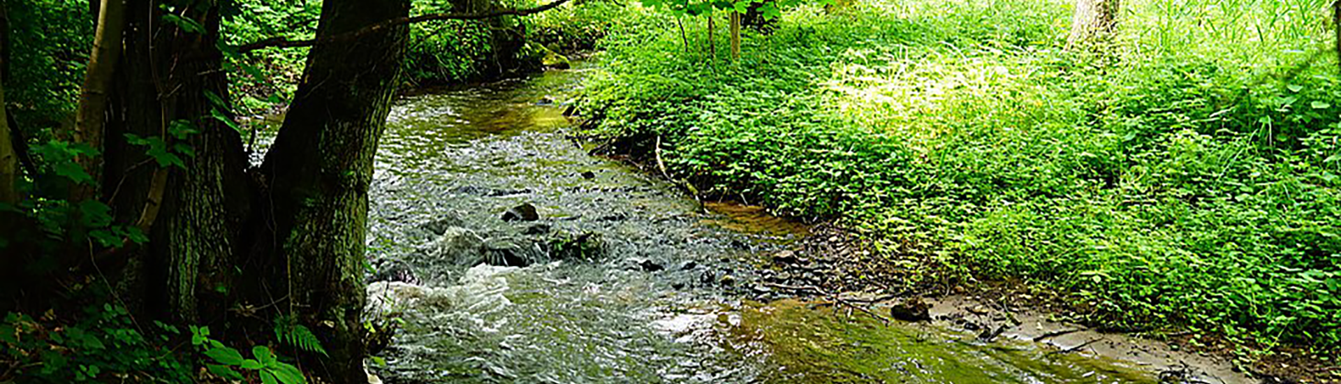Psary_jaworznik_2_desktop
